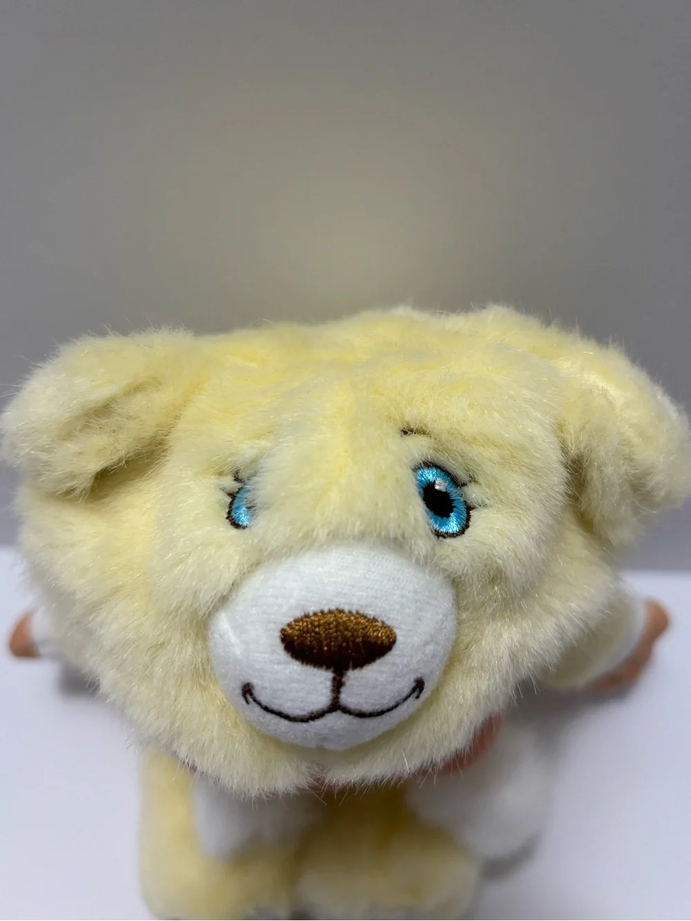 Cabbage Patch Kids Doll 25th Anniversary Snugglies Bear Xavier Roberts EUC